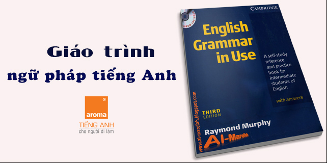 Download-giao-trinh-ngu-phap-tieng-anh-co-ban-english-grammar-in-use