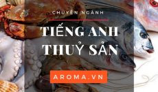 tieng-anh-chuyen-nganh-thuy-san-1