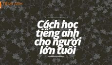 cach-hoc-tieng-anh-cho-nguoi-lon-tuoi