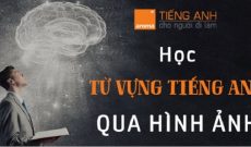 hoc-tu-vung-tieng-anh-qua-hinh-anh