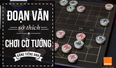 Doan-van-viet-so-thich-bang-tieng-anh-ve-choi-co-tuong
