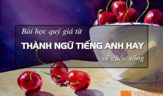 Bai-hoc-quy-gia-tu-thanh-ngu-tieng-anh-hay-ve-cuoc-song